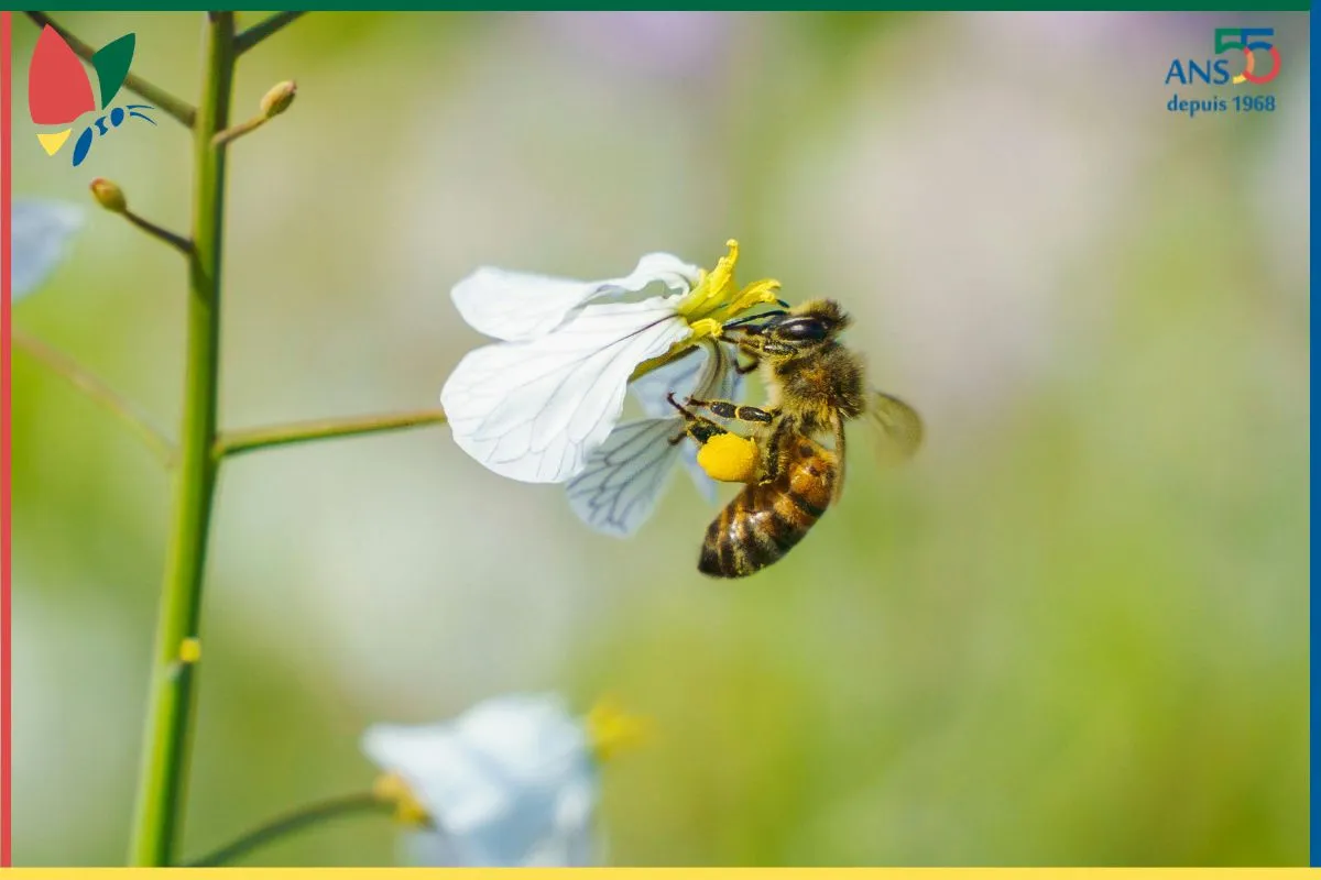 : Les nouvelles de notre ecoRucher N°28 – avril 2026