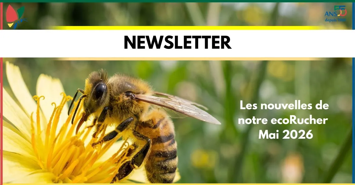 Les nouvelles de notre ecoRucher N°29 – Mai 2026