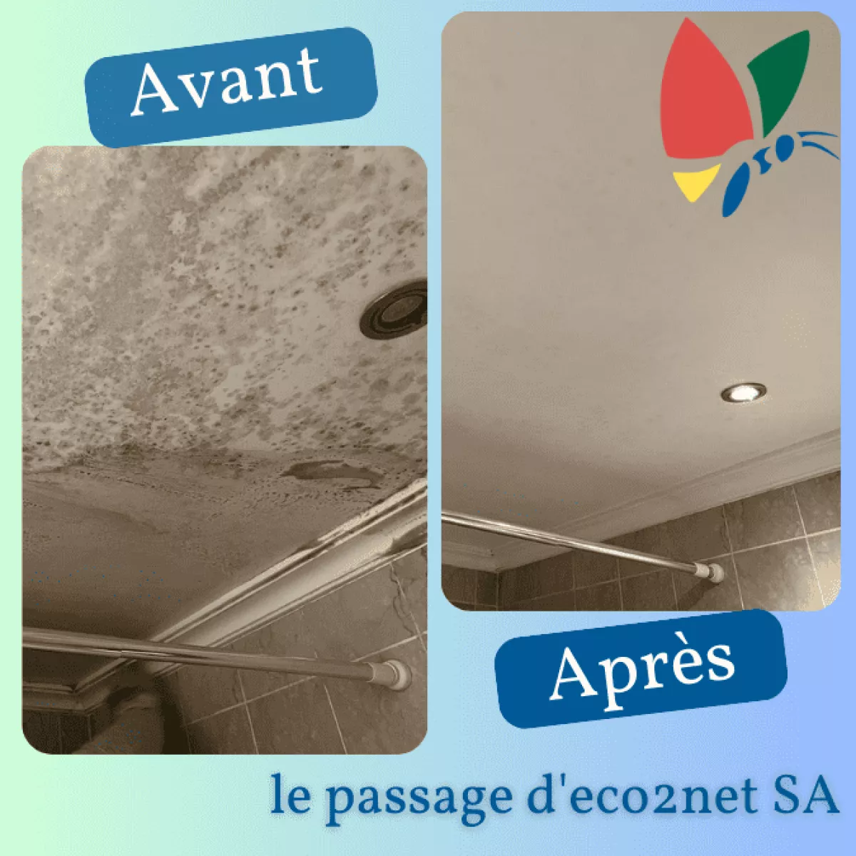 Photo montrant un plafond de salle de bain avant et après être nettoyé des moisissures