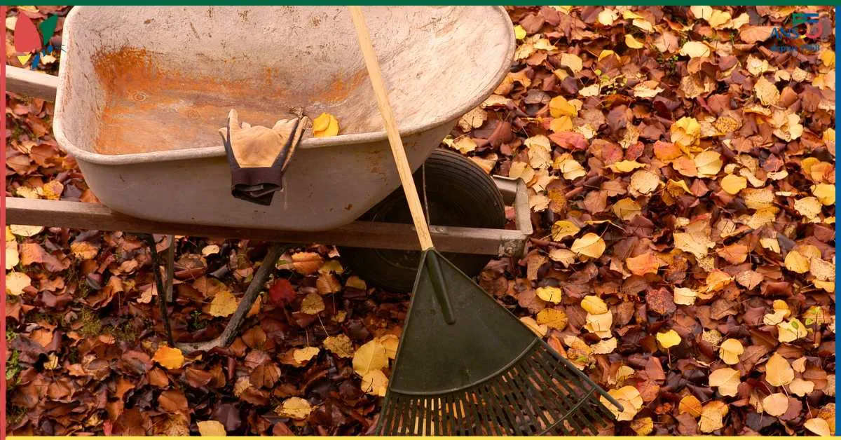 Avez-vous déjà commis ces erreurs dans votre jardin ?