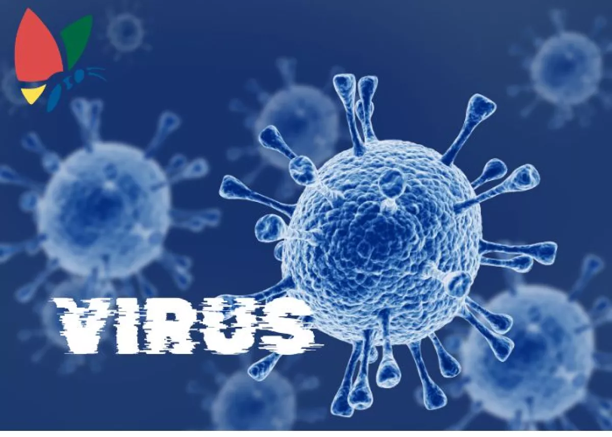 Retour des virus : comment se protéger par la désinfection