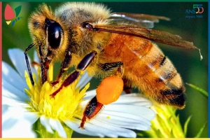 Les nouvelles de notre ecoRucher N° 24 – juin 2025