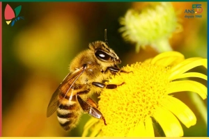 Les nouvelles de notre ecoRucher N°23 – mai 2025
