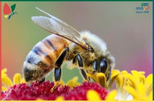 Les nouvelles de notre ecoRucher N°25 – juillet 2025