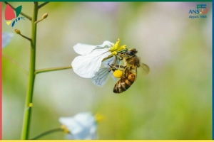 : Les nouvelles de notre ecoRucher N°28 – avril 2026