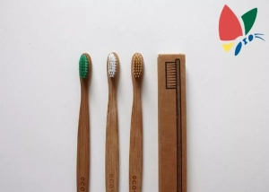 Recyclez vos vieilles brosses à dents !