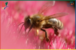 Les nouvelles de notre ecoRucher N°26 – septembre2025