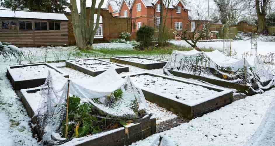 Les 9 erreurs à ne pas commettre lors de la fermeture hivernale de votre jardin